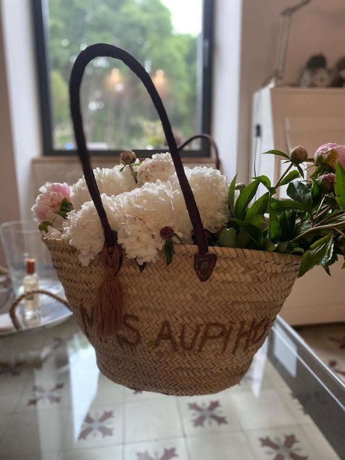 Mas Aupiho Villa Saint-Remy-de-Provence Luaran gambar